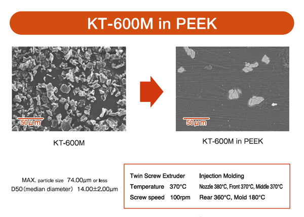 KT-600M in PEEK